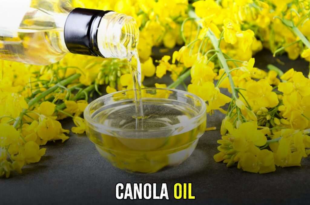 canola oil