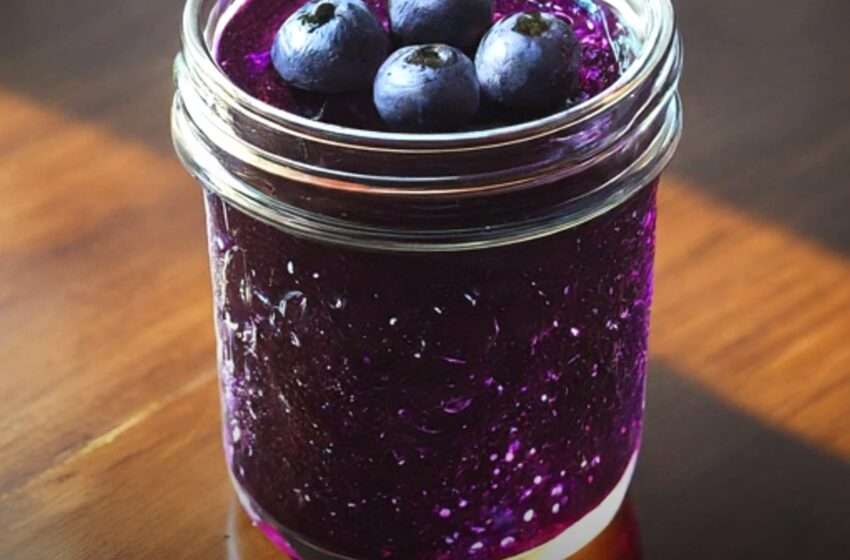 Blueberry Jelly Recipe