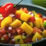 Mango Habanero Salsa Recipe