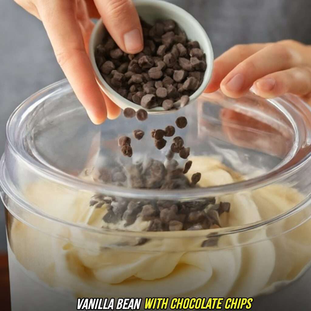 Vanilla Bean with Chocolate Chips